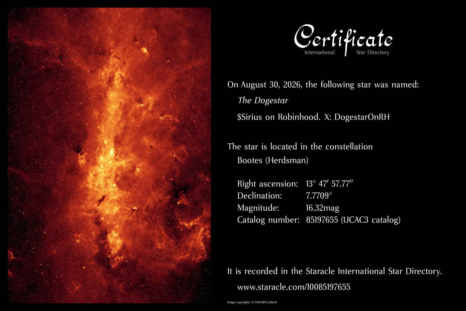Staracle certificate naming the star The Dogestar
